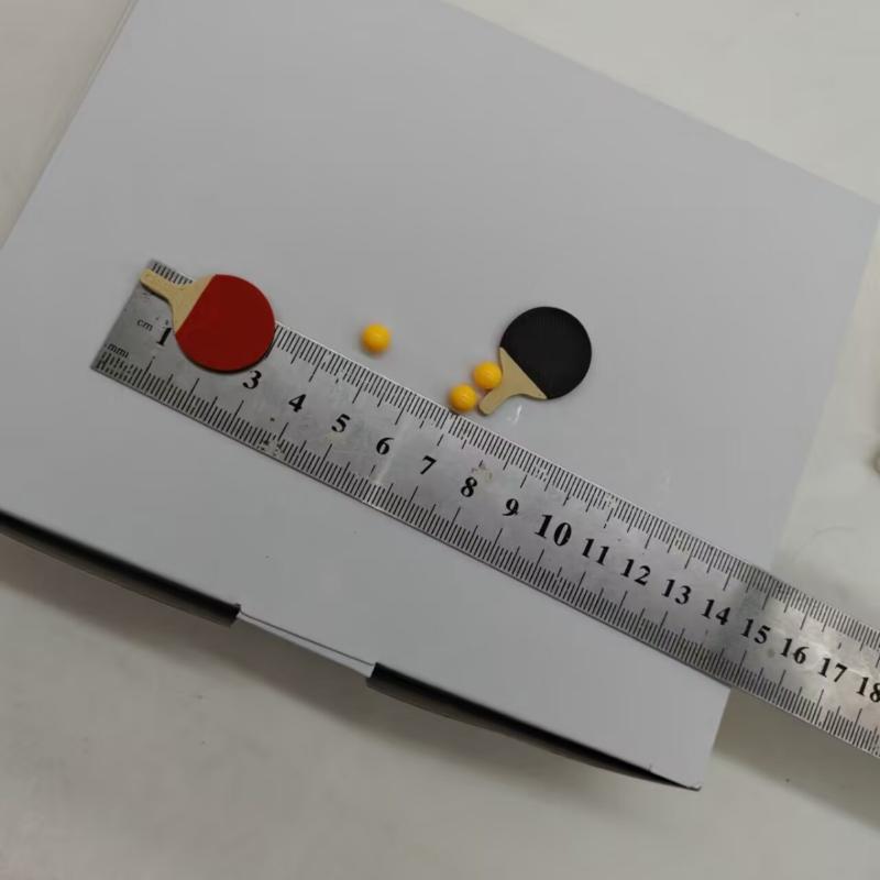 1Set Puppenhaus Miniatur Ping  – Table Tennis Olympics Bewertung und Preis